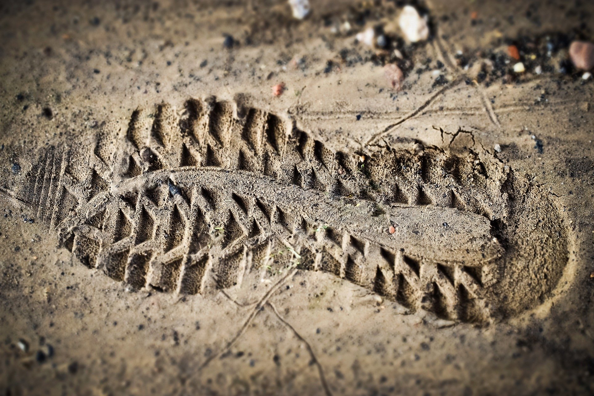 shoe-print